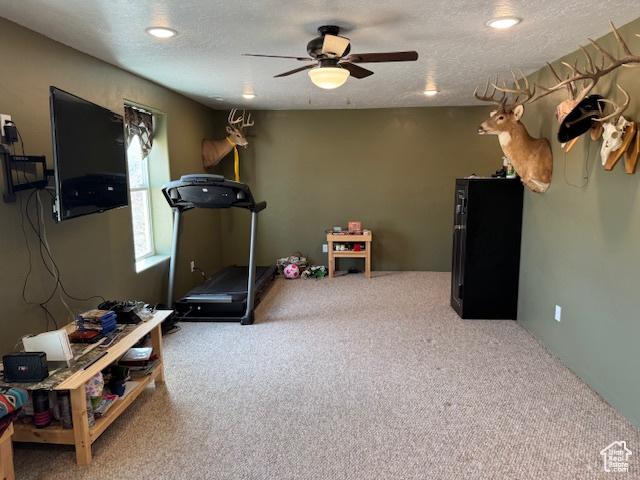 4058 E 5000 S, Vernal, UT 84078 - exercise area featuring carpet, a ceiling fan, and a textured ceiling