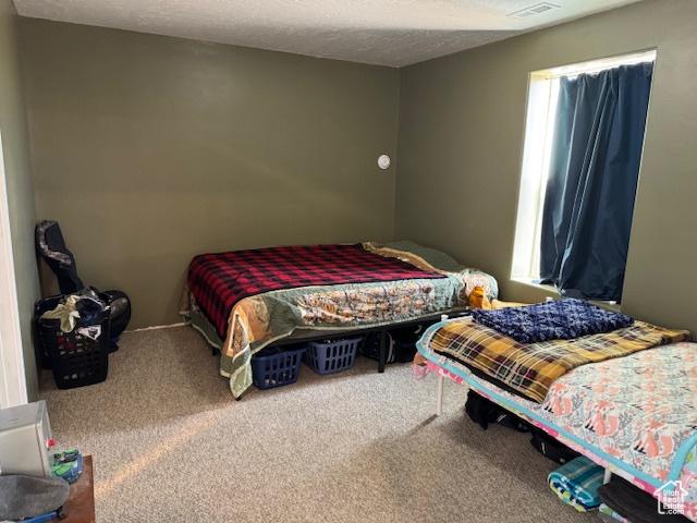 4058 E 5000 S, Vernal, UT 84078 - view of carpeted bedroom