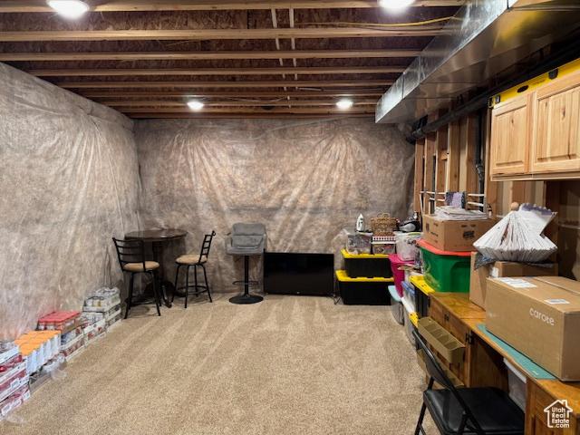 4058 E 5000 S, Vernal, UT 84078 - basement with carpet