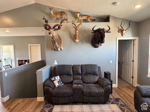 4058 E 5000 S, Vernal, UT 84078 - living room with vaulted ceiling and wood finished floors
