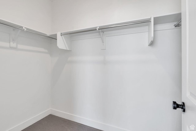 514 S 900 W Unit 167, American Fork, UT 84003 - spacious closet featuring dark carpet