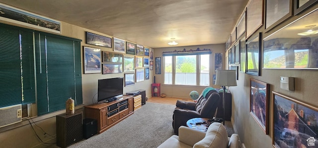 441 E 6050 N, Kenilworth, UT 84529 - photo 8