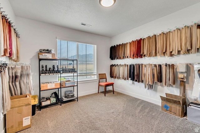 1162 N 550 W Unit 110, Tooele, UT 84074 - walk in closet with carpet floors