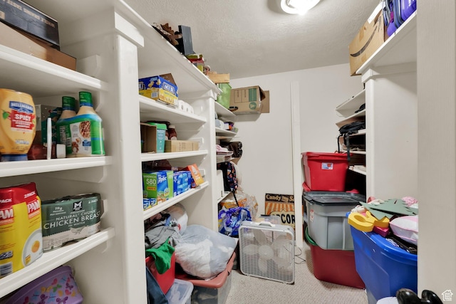 1569 Troon Cir, Syracuse, UT 84075 - view of storage area