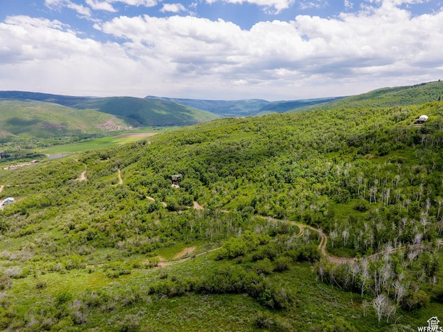 4891 S Woodland Way, Kamas, UT 84036