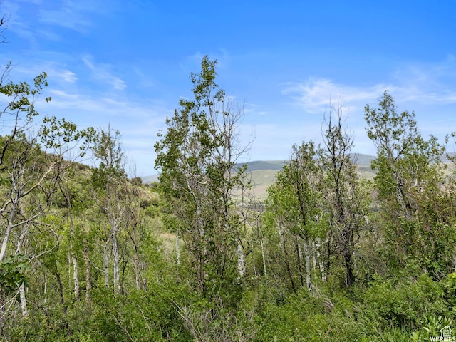4912 S Rhoades Dr, Kamas, UT 84036