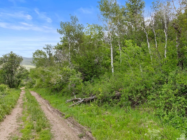 4912 S Rhoades Dr, Kamas, UT 84036