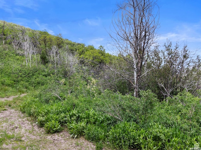 4912 S Rhoades Dr, Kamas, UT 84036