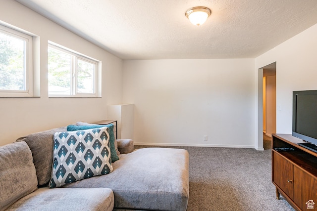 991 E Sunburn Ln, Sandy, UT 84094 - living area featuring carpet flooring and a textured ceiling