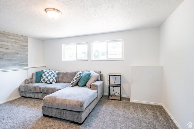 991 E Sunburn Ln, Sandy, UT 84094 - living room with a textured ceiling and carpet