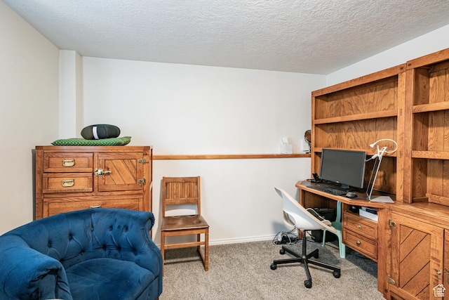 991 E Sunburn Ln, Sandy, UT 84094 - carpeted home office with a textured ceiling