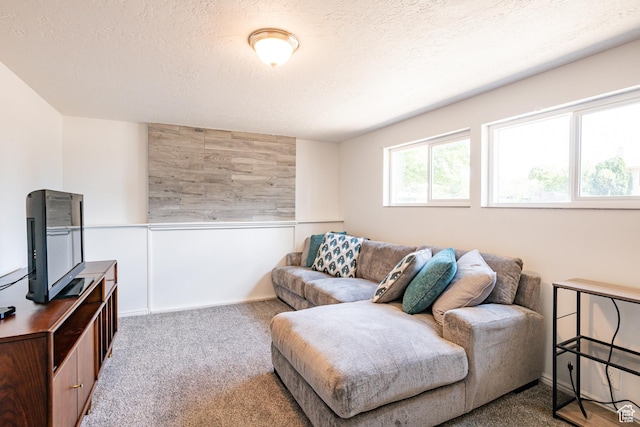 991 E Sunburn Ln, Sandy, UT 84094 - living room with carpet and a textured ceiling
