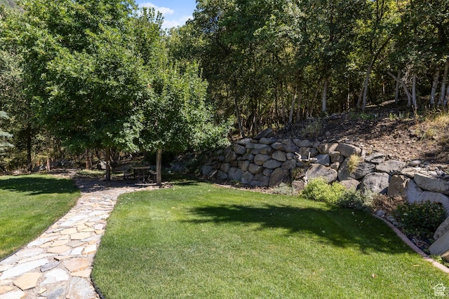 610 S Maple Dr, Woodland Hills, UT 84653 - view of green lawn