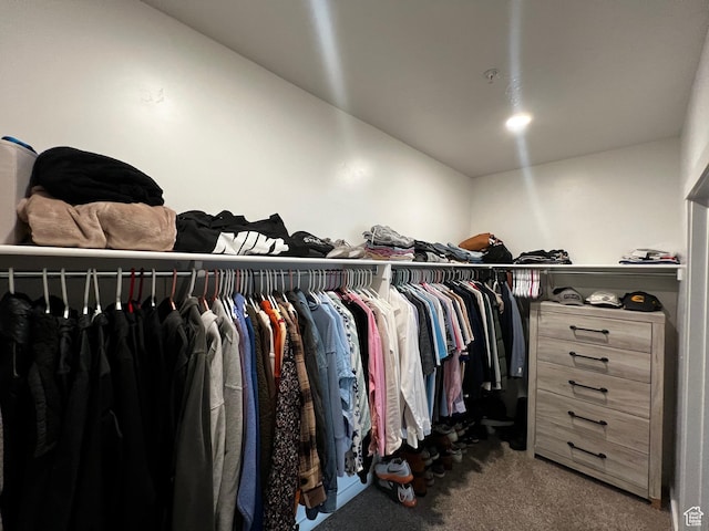 2342 E 830 S Unit 26, Spanish Fork, UT 84660 - spacious closet with carpet floors