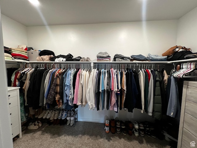 2342 E 830 S Unit 26, Spanish Fork, UT 84660 - spacious closet with carpet