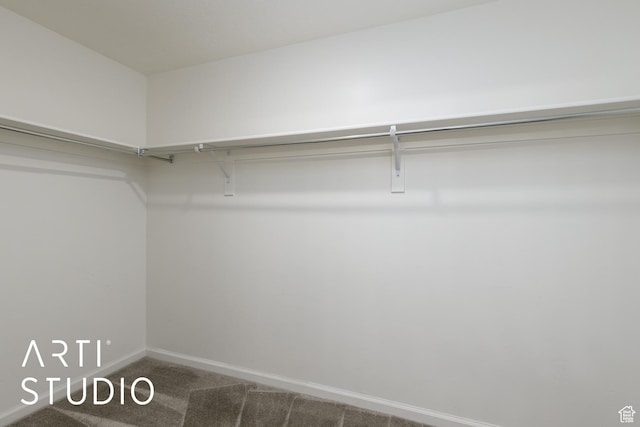 5241 S 1250 W, Riverdale, UT 84405 - walk in closet featuring carpet flooring