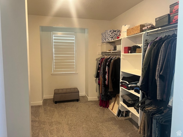 69 W 2200 S, Kaysville, UT 84037 - spacious closet with carpet floors