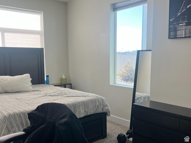3589 S Xenon Dr W, West Valley City, UT 84119 - bedroom featuring multiple windows and carpet