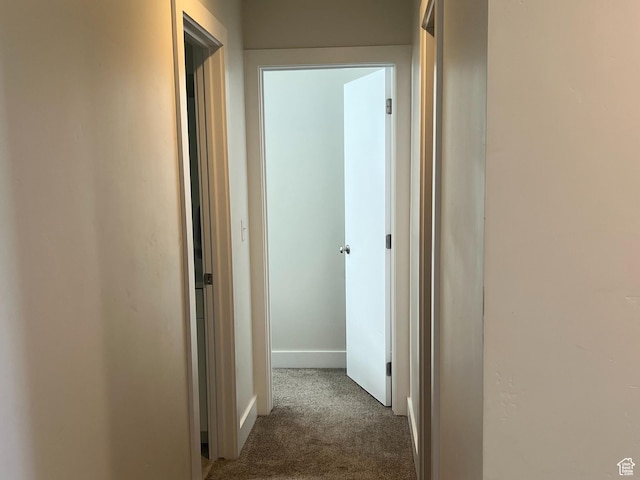 3589 S Xenon Dr W, West Valley City, UT 84119 - hallway with carpet and baseboards