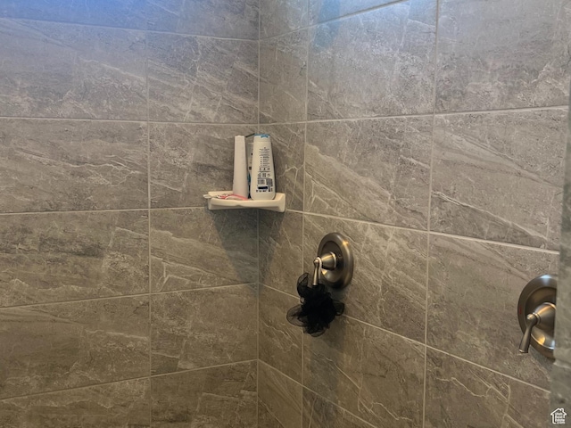 3589 S Xenon Dr W, West Valley City, UT 84119 - bathroom view of a tile shower