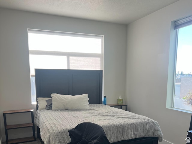 3589 S Xenon Dr W, West Valley City, UT 84119 - bedroom featuring multiple windows and a textured ceiling