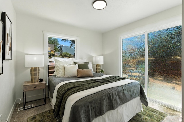 291 S 700 E, Spanish Fork, UT 84660 - bedroom with multiple windows and carpet floors