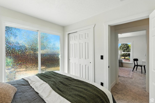 291 S 700 E, Spanish Fork, UT 84660 - carpeted bedroom with a closet and baseboards