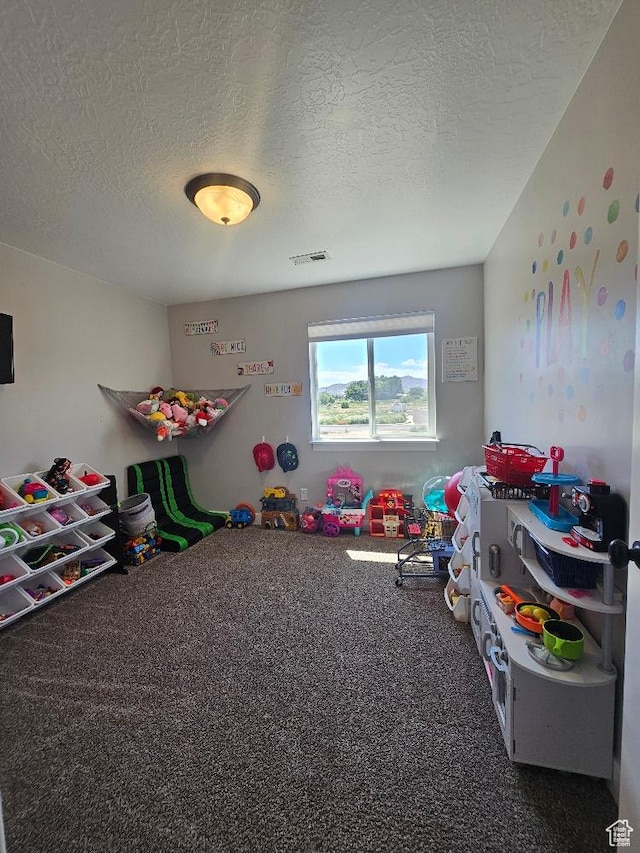 826 S 300 W, Vernal, UT 84078 - rec room featuring a textured ceiling and carpet flooring