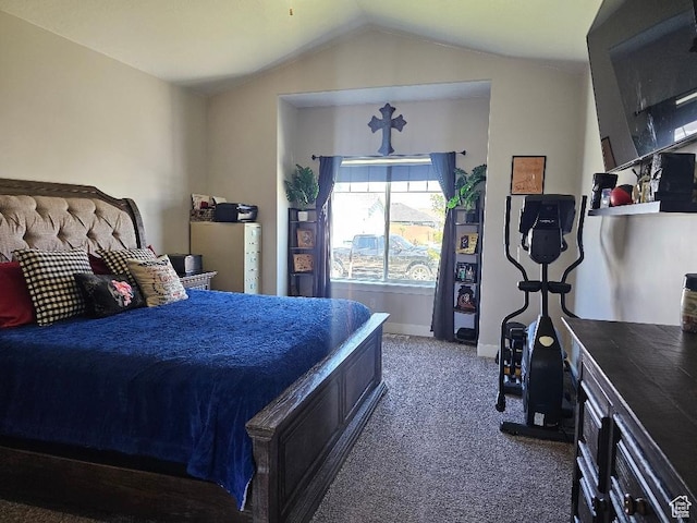 826 S 300 W, Vernal, UT 84078 - carpeted bedroom with lofted ceiling and baseboards