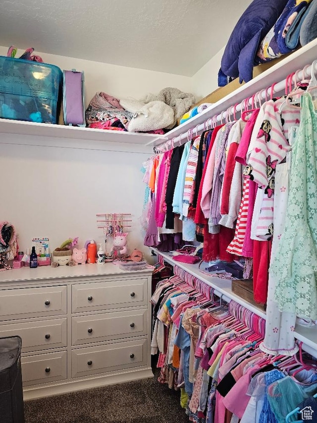 826 S 300 W, Vernal, UT 84078 - walk in closet featuring carpet floors