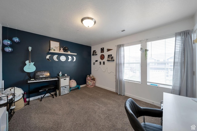 14837 S Messi St, Herriman, UT 84096 - carpeted office space with a textured ceiling and baseboards