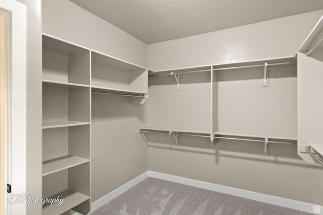 2762 E Hazel Dr, St George, UT 84790 - walk in closet featuring carpet