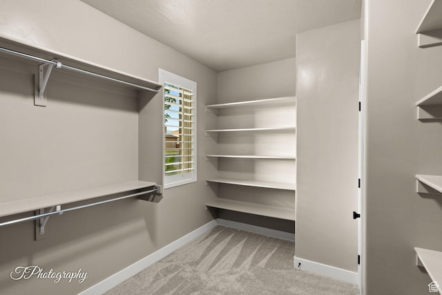 2762 E Hazel Dr, St George, UT 84790 - walk in closet featuring carpet flooring
