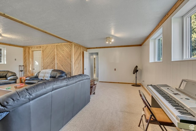 4918 E 2800 N, Eden, UT 84310 - living area featuring wood walls, light colored carpet, ornamental molding, and a textured ceiling