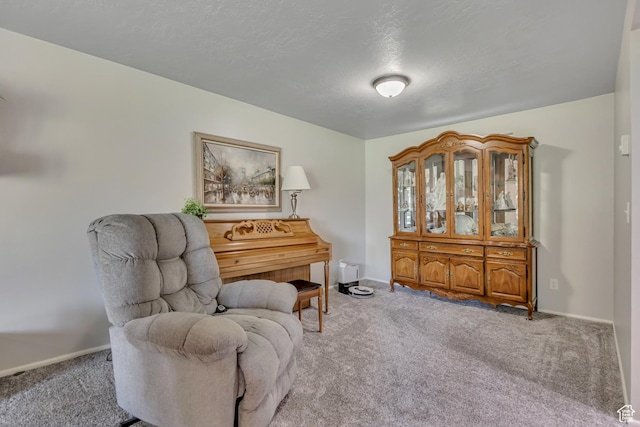 4918 E 2800 N, Eden, UT 84310 - sitting room with carpet flooring and a textured ceiling