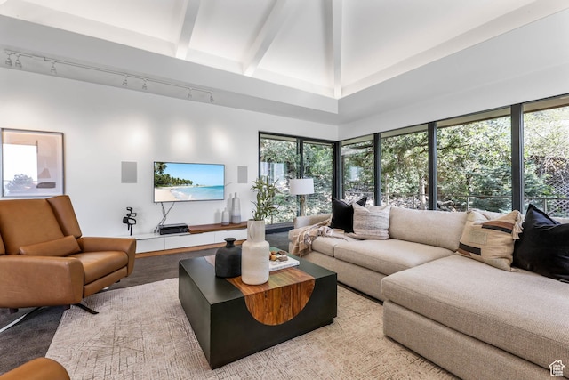4352 S Zarahemla Dr, Salt Lake City, UT 84124 - living room featuring rail lighting, a high ceiling, and wood finished floors