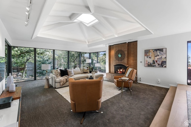 4352 S Zarahemla Dr, Salt Lake City, UT 84124 - living room with rail lighting, a fireplace, a skylight, and carpet flooring