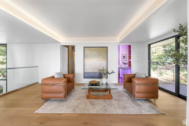 4352 S Zarahemla Dr, Salt Lake City, UT 84124 - living room featuring wood finished floors and a tray ceiling