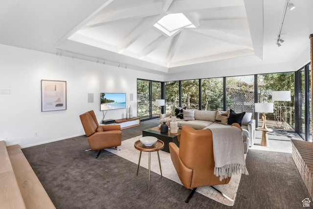 4352 S Zarahemla Dr, Salt Lake City, UT 84124 - living room with track lighting, carpet, and lofted ceiling
