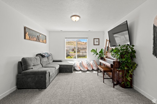 1017 S Red Cliff Dr, Santaquin, UT 84655 - living area with carpet floors and a textured ceiling