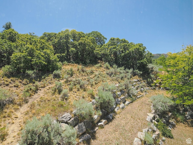 1152 E Gavin Cir, Draper, UT 84020 - view of yard
