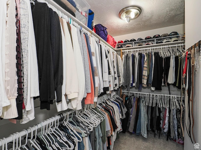 1152 E Gavin Cir, Draper, UT 84020 - view of spacious closet