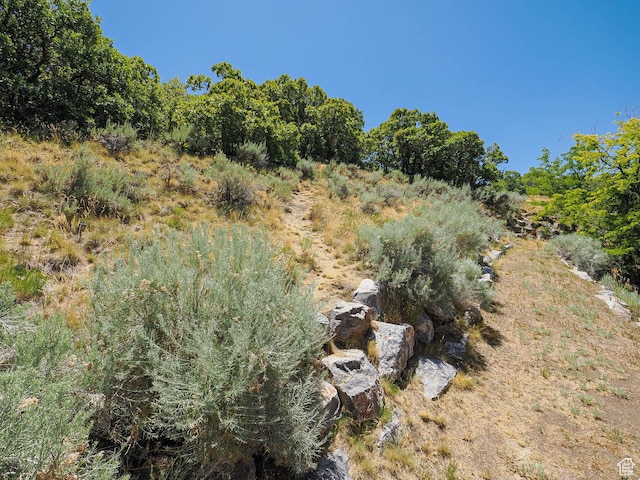 1152 E Gavin Cir, Draper, UT 84020 - view of yard