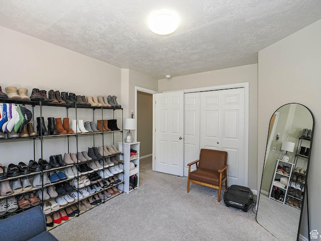 1152 E Gavin Cir, Draper, UT 84020 - living area with carpet floors and a textured ceiling