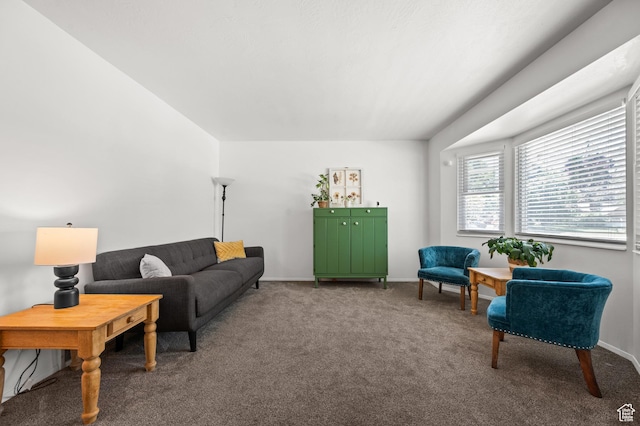 1609 E Sego Lily Dr, Sandy, UT 84092 - living area with carpet and baseboards
