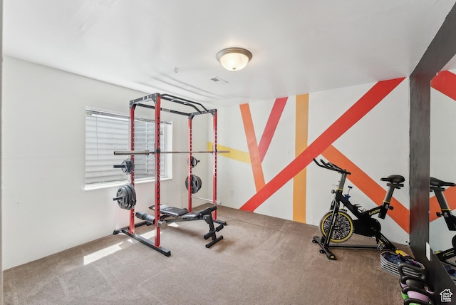 631 S Falkirk Rd, Heber City, UT 84032 - exercise room with carpet flooring