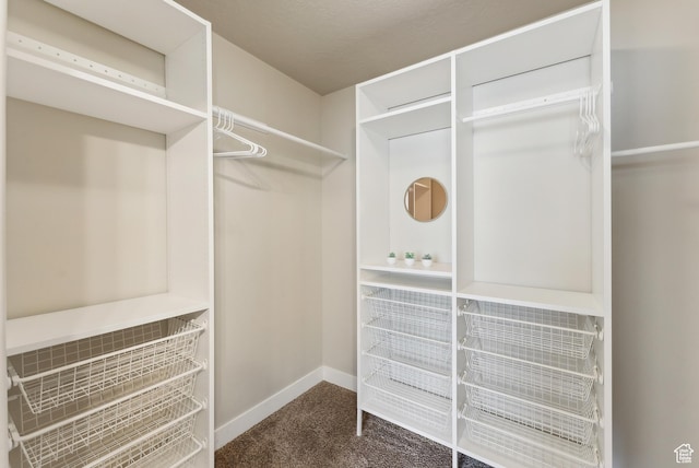 631 S Falkirk Rd, Heber City, UT 84032 - walk in closet with carpet
