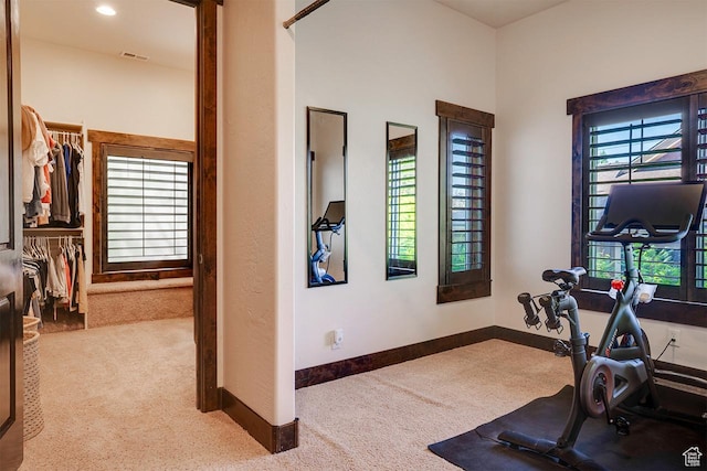 1307 N Dutch Highland Dr, Midway, UT 84049 - workout area with carpet floors and plenty of natural light