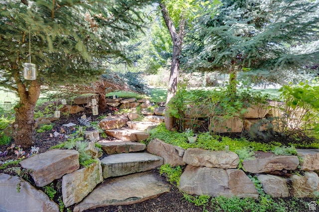 1307 N Dutch Highland Dr, Midway, UT 84049 - view of yard
