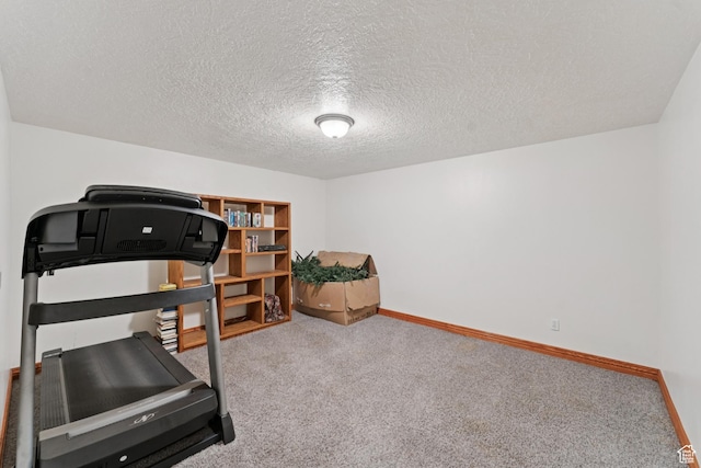 3136 W 2400th St S, Charleston, UT 84032 - exercise room with carpet floors and a textured ceiling